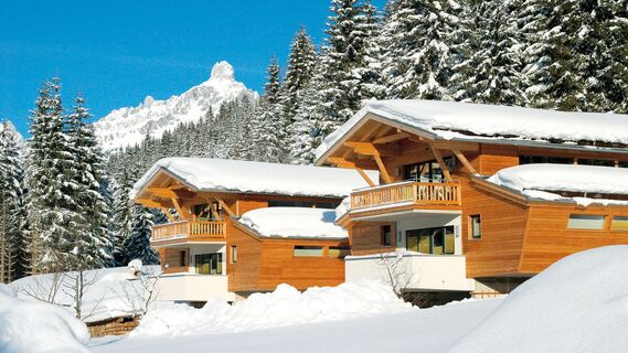 Alpin Chalet Filzmoos