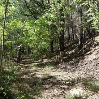 Auftakt-Trail am Sandberg