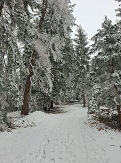 Foto von Peter Orasche entlang der Tour