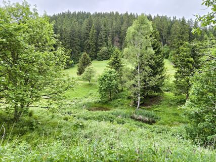 Fotografia z Dietmar Lüdenscheid ? na trase