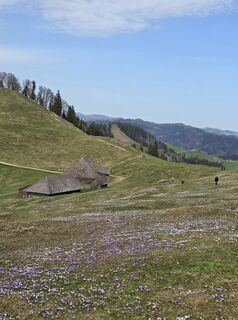 Photo de bikeandcamp le long du parcours
