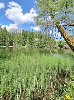 Fotó a Gabriela Mandl honlapról a túra során