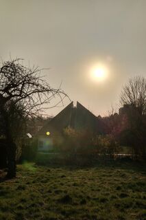 Foto von ceiby entlang der Tour