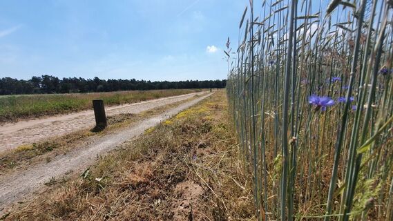Altmarkrundkurs bei Uchtspringe