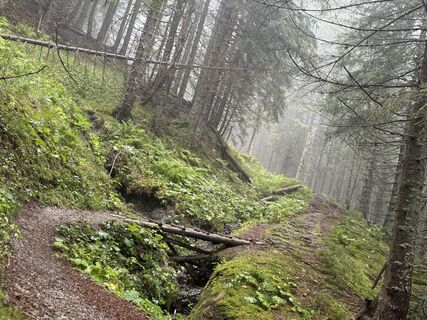 Foto von andi.Laemmerer entlang der Tour