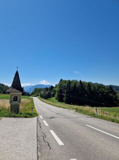 Photo de Drummerkaktus le long du parcours