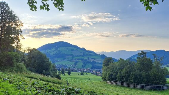 Waldrandweg Niederau © Wildschönau Tourismus