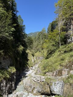 Fotografie de la Philipp Rößler de-a lungul turului
