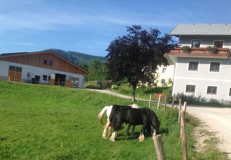 Bauernhof Feldbauerhof