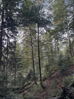 Foto von Rijad Kurtić entlang der Tour