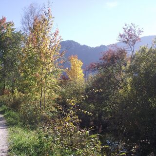 An der roten Traun entlang - Panorama  Nordic Walking Tour Inzell/Chiemgau