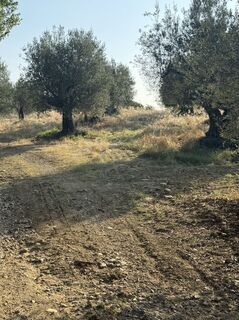 Fotografija s spletne strani Karsten Kümmel na poti