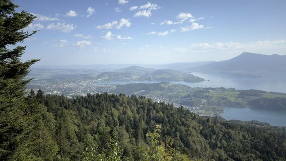 Foto von Peter Burki entlang der Tour