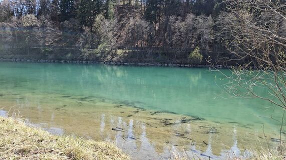 Fotografija s spletne strani Mangolein na poti