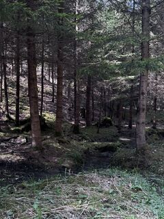 Zdjęcie z Samuel07 wzdłuż trasy