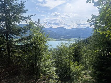 Fotografie z mounttwosisters na trase