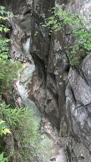 Fotografia z Mountain Cat ? ⛰️ na trase