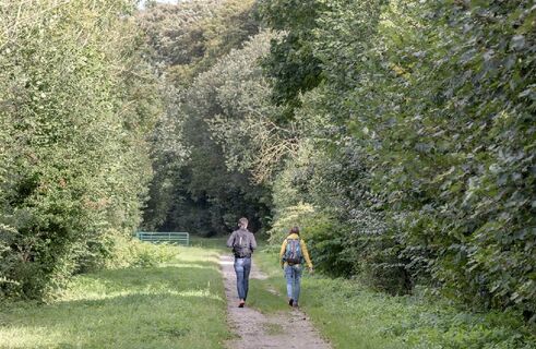 Auf der Traverse von Ponthieu
