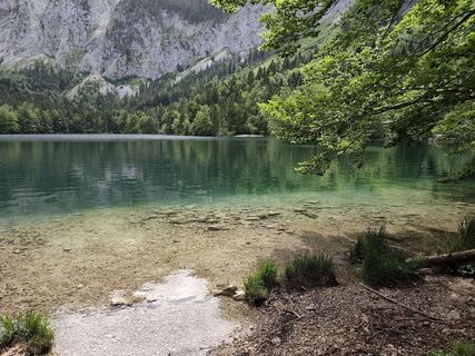 Photo de Bernharf ALTRICHTER le long du parcours
