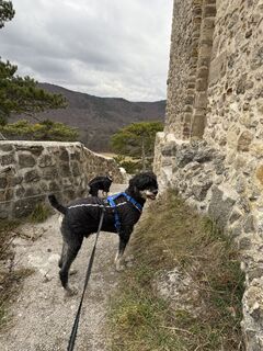 Foto von Jessica V Berger entlang der Tour