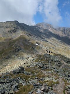 Photo de King Kong le long du parcours