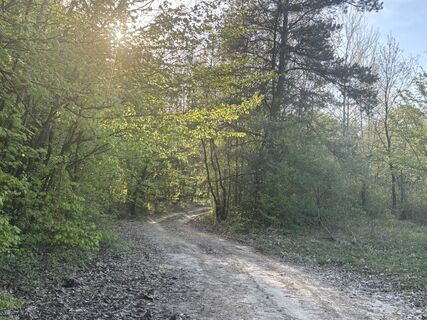 Foto de Reti Alicia a lo largo del recorrido