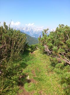Foto von Christian Priller entlang der Tour