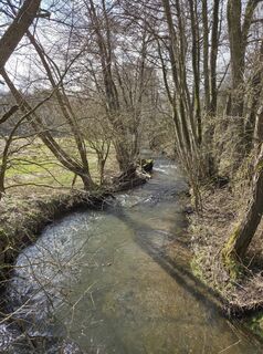 Photo de Christiane Schütz le long du parcours