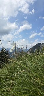 Photo de Rainer Kroschwald le long du parcours