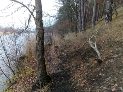 Pfad am Kamernschen See