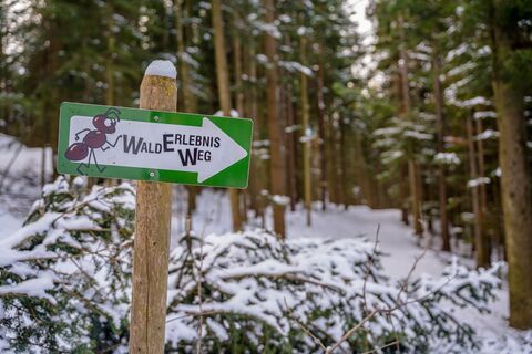 Winterwandern am Walderlebnisweg Gschaidt
