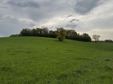 Foto von Schaali entlang der Tour