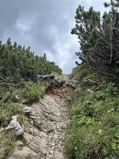 Fotó a Yugpreet Birk honlapról a túra során