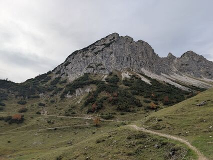 Foto de T Gössing a lo largo del recorrido