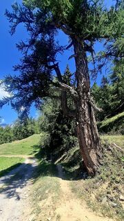 Foto de Elisabeth Vonarburg a lo largo del recorrido