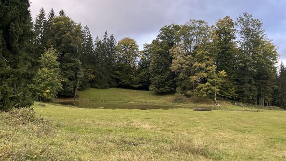 Foto de Sabine Offenberger a lo largo del recorrido