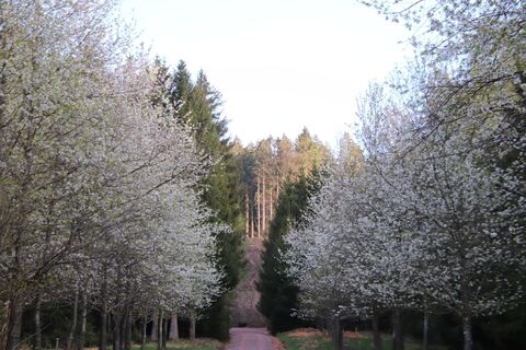 Fotó a Günter Kleutsch honlapról a túra során