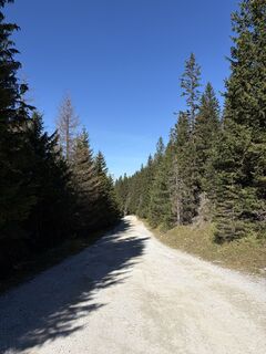 Foto von Simon entlang der Tour