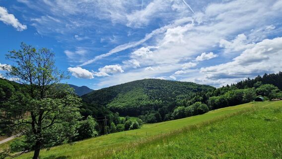 Photo de EP87 le long du parcours