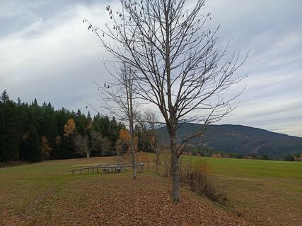 Fotografia z Jaroslav Klus na trase