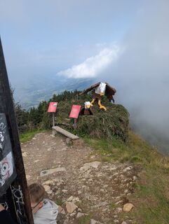 Fotografia z Mogli na trase