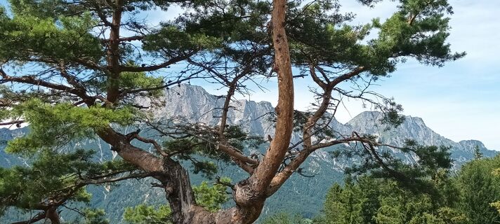 Foto von Imke Bünstorf entlang der Tour