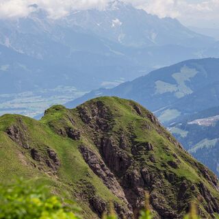 Spielberghorn