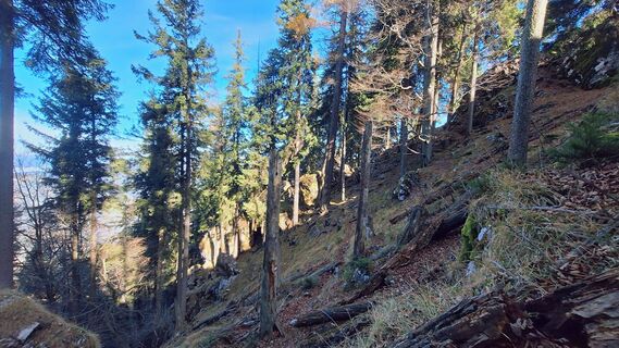 Fotografija s spletne strani Regina Fleischmann na poti