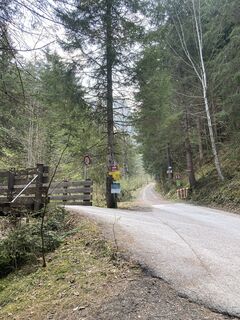 Foto von Norbert Danzer entlang der Tour
