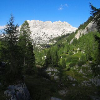 Rotgschirr