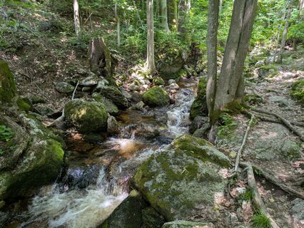 Foto von Edero entlang der Tour
