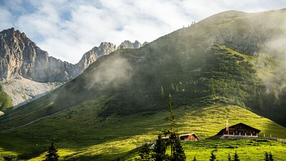 Wangalm im Sommer - Aufnahme bei goldenem Licht.jpg