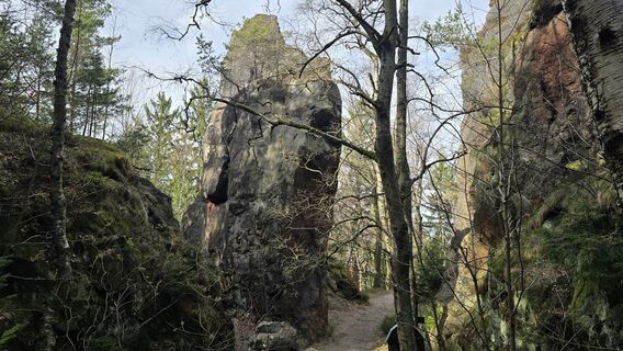 Photo de Katja Senkel le long du parcours