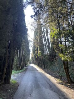 Photo de David Menke le long du parcours